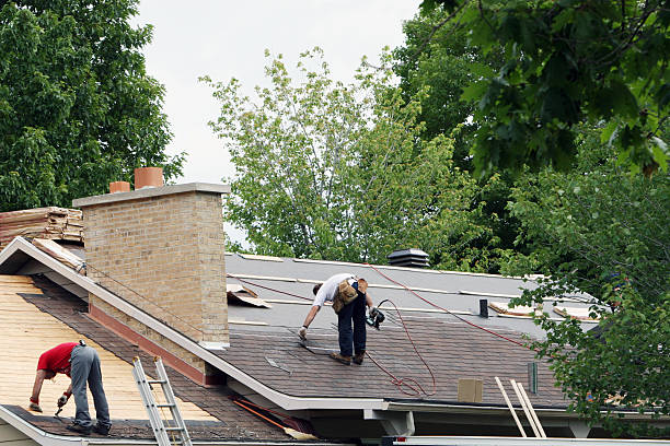 Best Roofing Contractor Near Me  in Frankfort, MI