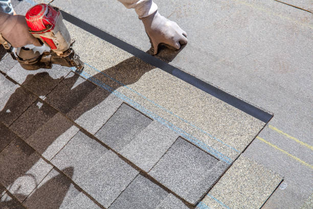 Best New Roof Installation  in Frankfort, MI